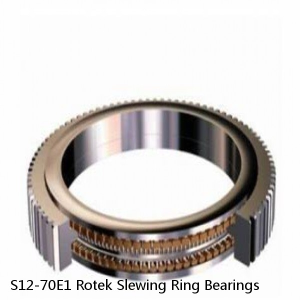 S12-70E1 Rotek Slewing Ring Bearings