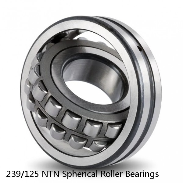 239/125 NTN Spherical Roller Bearings