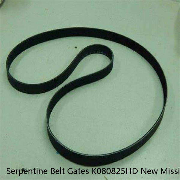 Serpentine Belt Gates K080825HD New Missing Sleeve