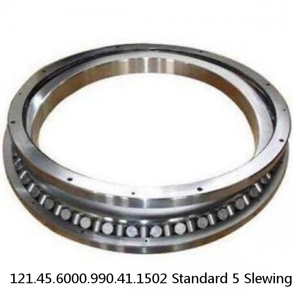 121.45.6000.990.41.1502 Standard 5 Slewing Ring Bearings