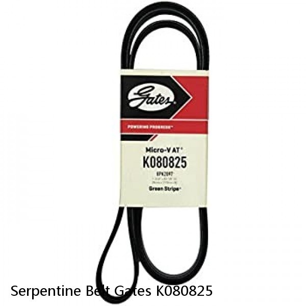 Serpentine Belt Gates K080825
