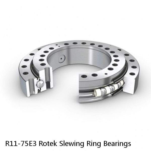 R11-75E3 Rotek Slewing Ring Bearings #1 small image