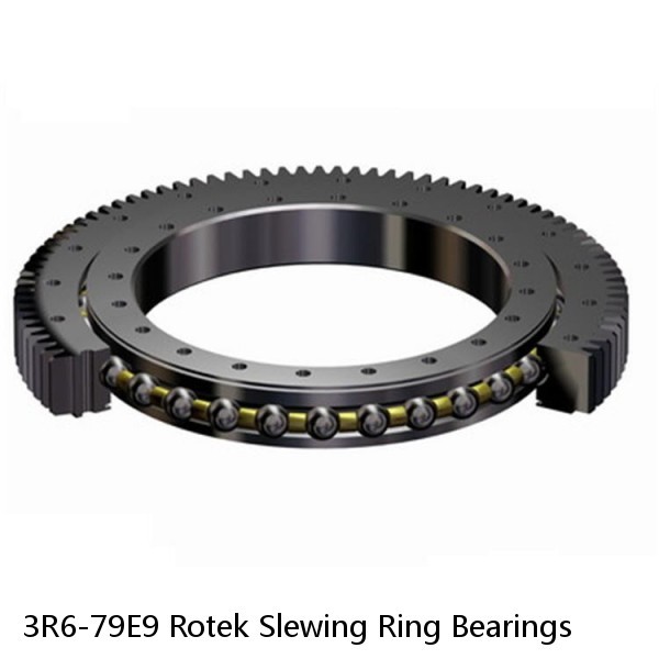 3R6-79E9 Rotek Slewing Ring Bearings #1 small image