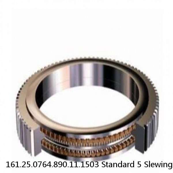 161.25.0764.890.11.1503 Standard 5 Slewing Ring Bearings #1 small image