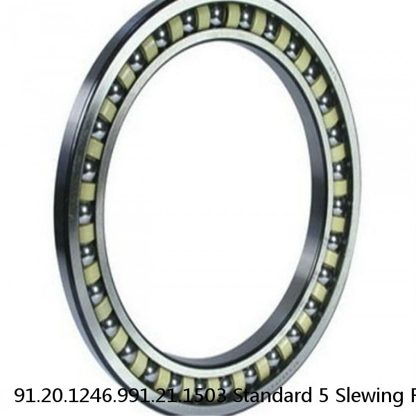 91.20.1246.991.21.1503 Standard 5 Slewing Ring Bearings
