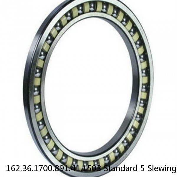 162.36.1700.891.41.1503 Standard 5 Slewing Ring Bearings