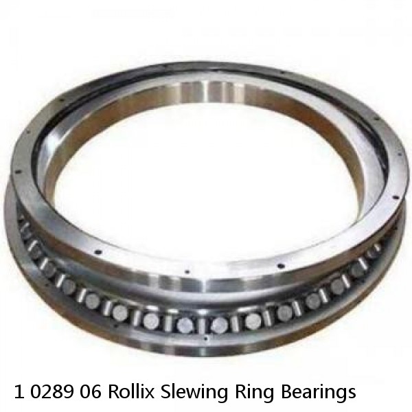 1 0289 06 Rollix Slewing Ring Bearings #1 small image