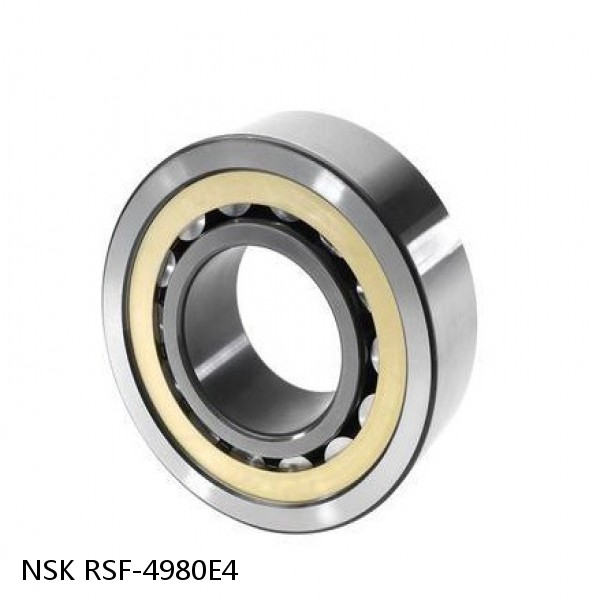 RSF-4980E4 NSK CYLINDRICAL ROLLER BEARING #1 small image