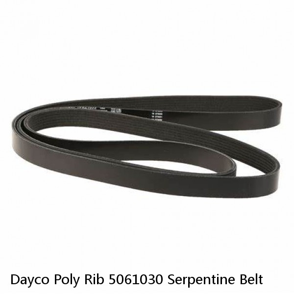 Dayco Poly Rib 5061030 Serpentine Belt
