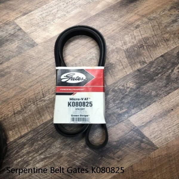 Serpentine Belt Gates K080825 #1 small image