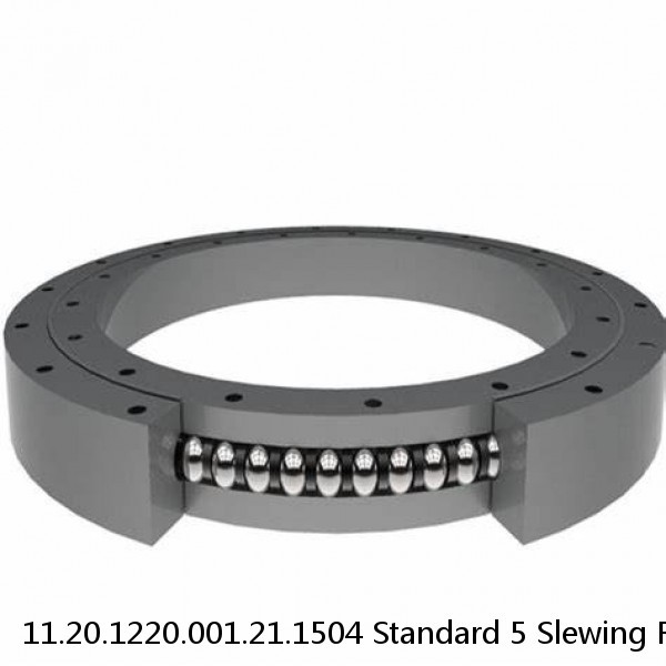 11.20.1220.001.21.1504 Standard 5 Slewing Ring Bearings #1 image