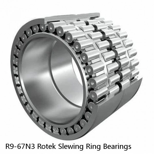 R9-67N3 Rotek Slewing Ring Bearings #1 image