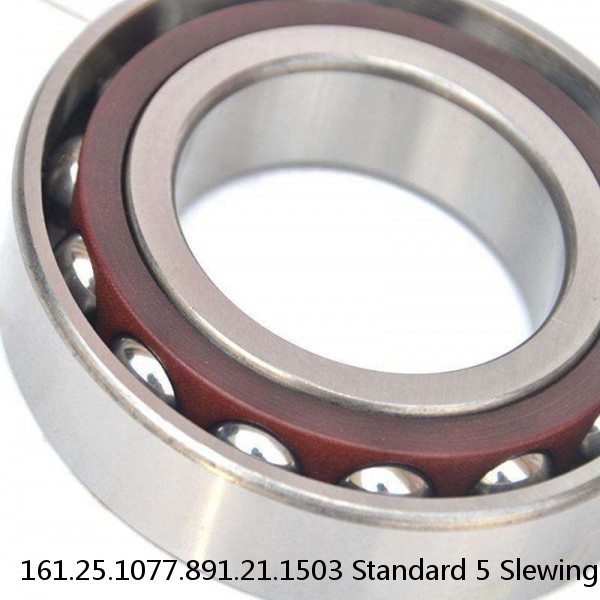 161.25.1077.891.21.1503 Standard 5 Slewing Ring Bearings #1 image
