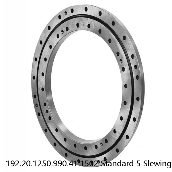192.20.1250.990.41.1502 Standard 5 Slewing Ring Bearings #1 image