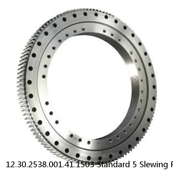 12.30.2538.001.41.1503 Standard 5 Slewing Ring Bearings #1 image
