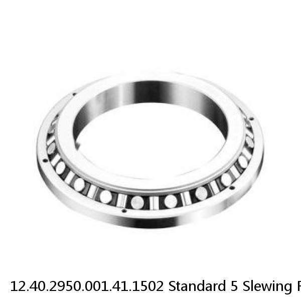 12.40.2950.001.41.1502 Standard 5 Slewing Ring Bearings #1 image