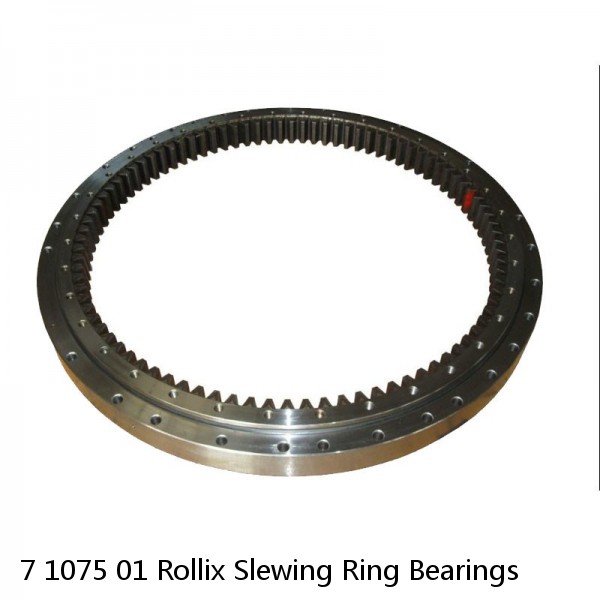 7 1075 01 Rollix Slewing Ring Bearings #1 image