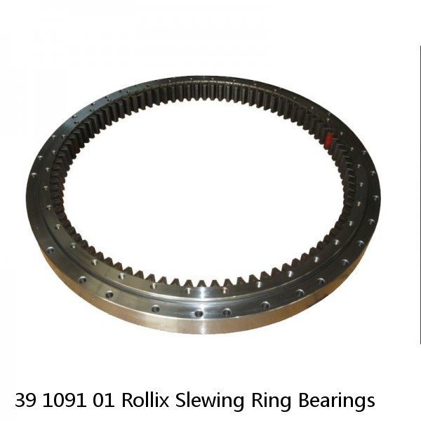 39 1091 01 Rollix Slewing Ring Bearings #1 image