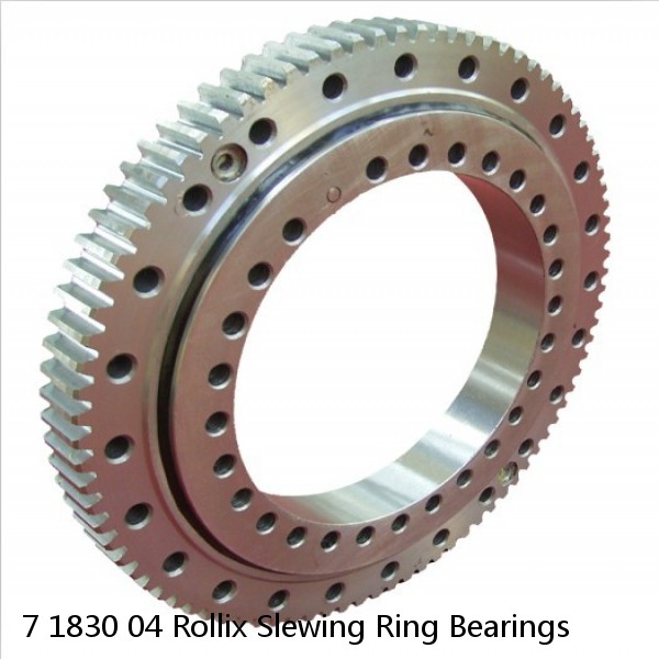 7 1830 04 Rollix Slewing Ring Bearings #1 image