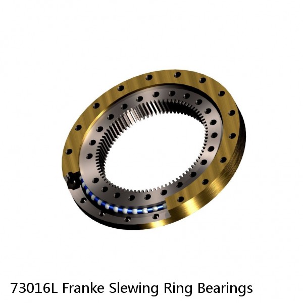 73016L Franke Slewing Ring Bearings #1 image