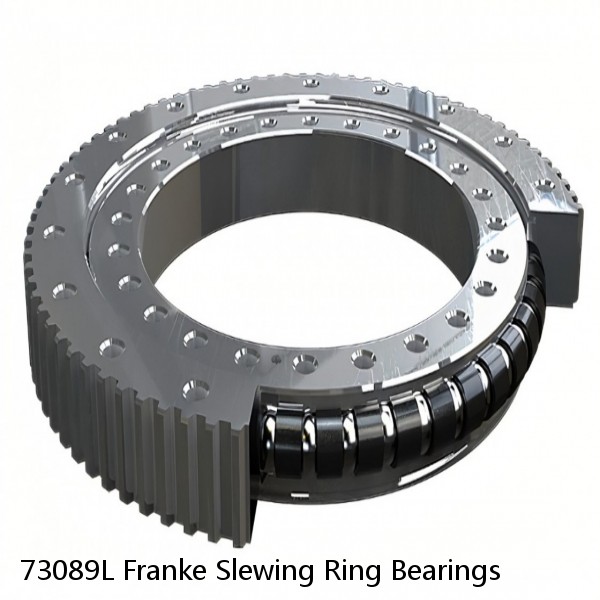 73089L Franke Slewing Ring Bearings #1 image