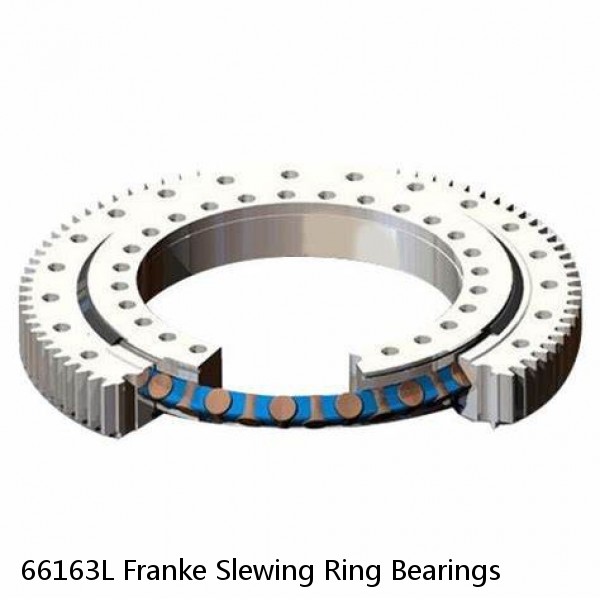 66163L Franke Slewing Ring Bearings #1 image