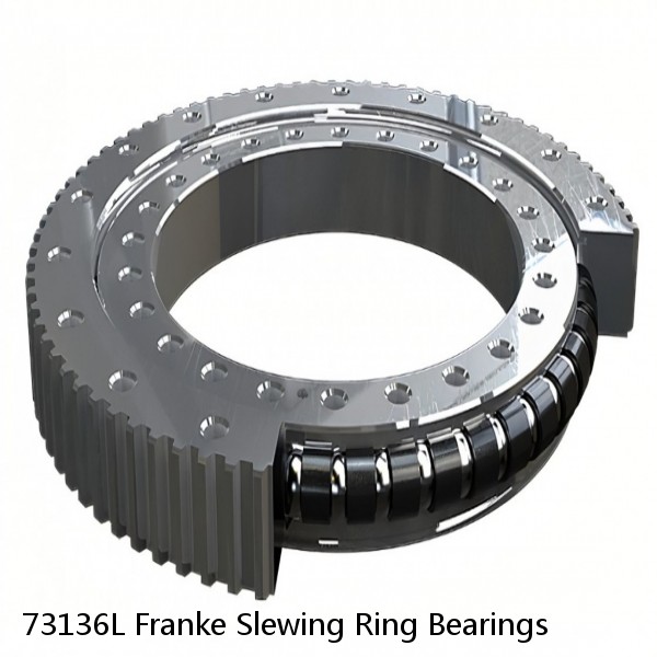 73136L Franke Slewing Ring Bearings #1 image