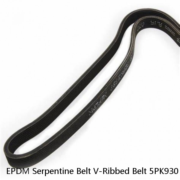 EPDM Serpentine Belt V-Ribbed Belt 5PK930 for Audi TT Quattro Honda Accord Colt  (Fits: Audi) #1 image