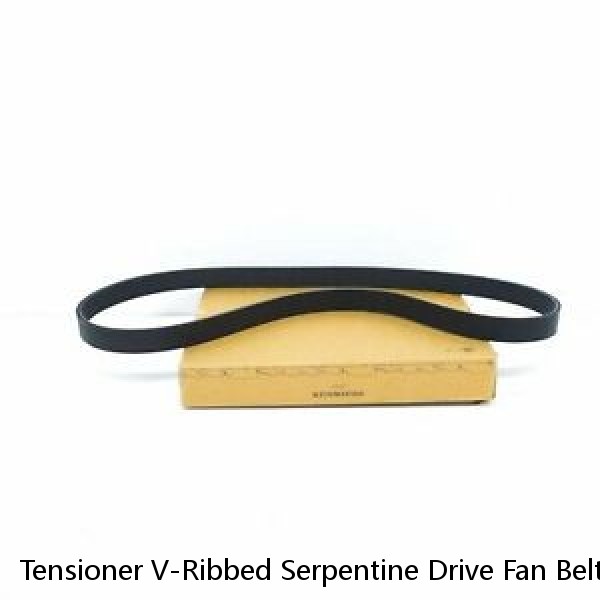 Tensioner V-Ribbed Serpentine Drive Fan Belt Set Gates INA For Audi  A4 B7 A6 C6 (Fits: Audi) #1 image